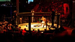 MMA vs Krav Maga