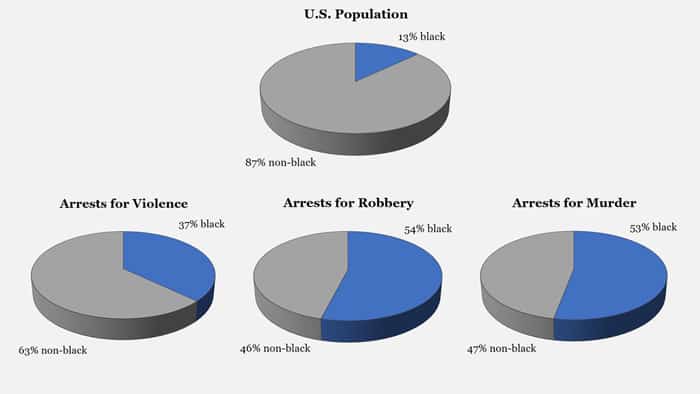 Institutional Police Racism Facts