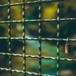 Financial Lobbying Should Be Banned
