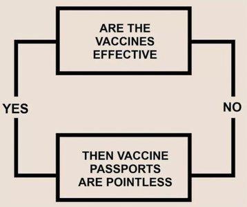 vax passport flowchart