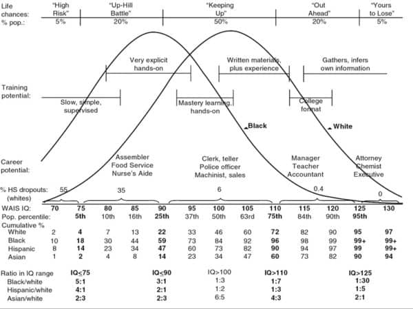 the nature of human intelligence illustration