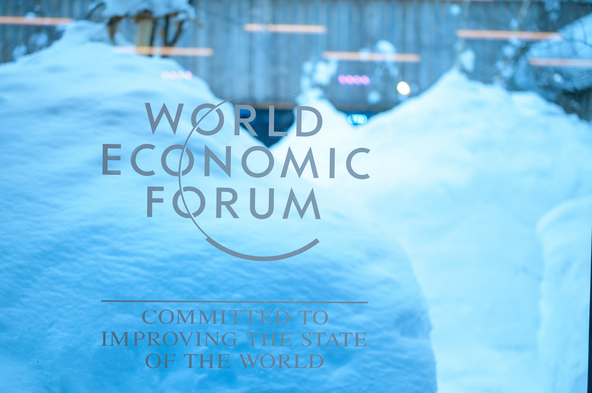 elon musk versus The World Economic Forum