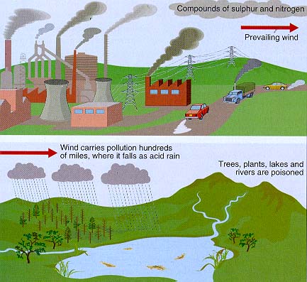 acid rain 2001 educational image
