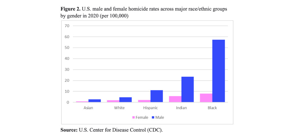 homicide rate in united states by ethnicity and race - Why Do Americans Have Such A High gun violence problem?