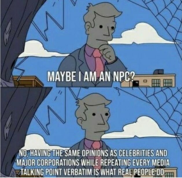 maybe I am an NPC? - western world lost its mind meme 2