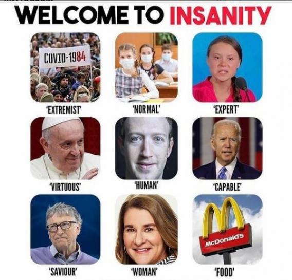 welcome to insanity - western world lost its mind meme 1