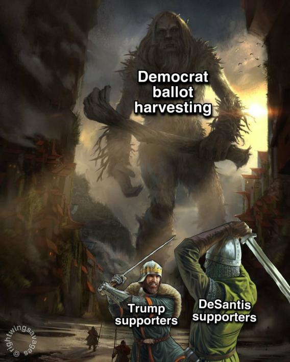 democrat ballot harvesting - trump vs desantis meme