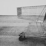 shopping cart theory meme monday