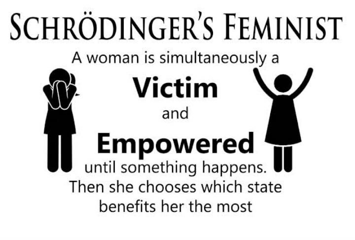 Schrodinger's Feminist meme