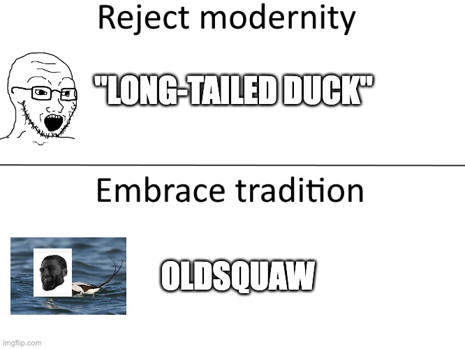 reject modernity, embrace tradition birder meme