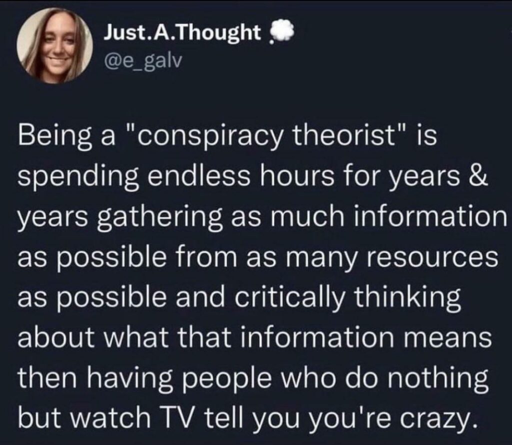 becoming a dissident and conspiracy theorist meme