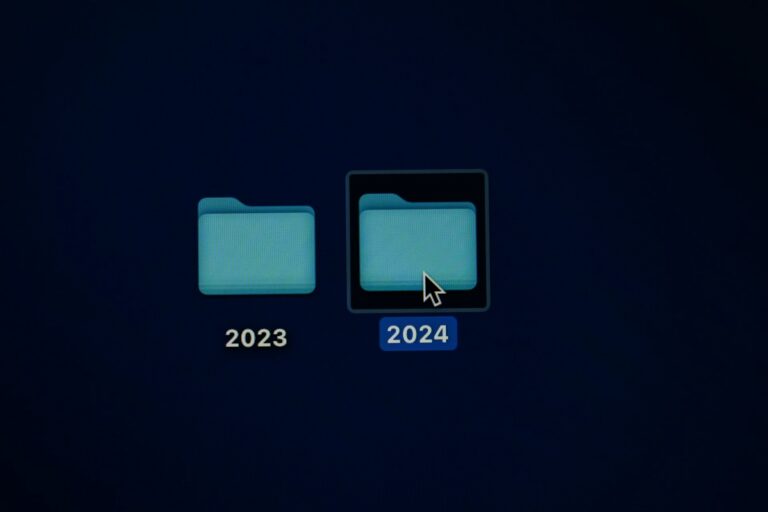 the 2024 election: header