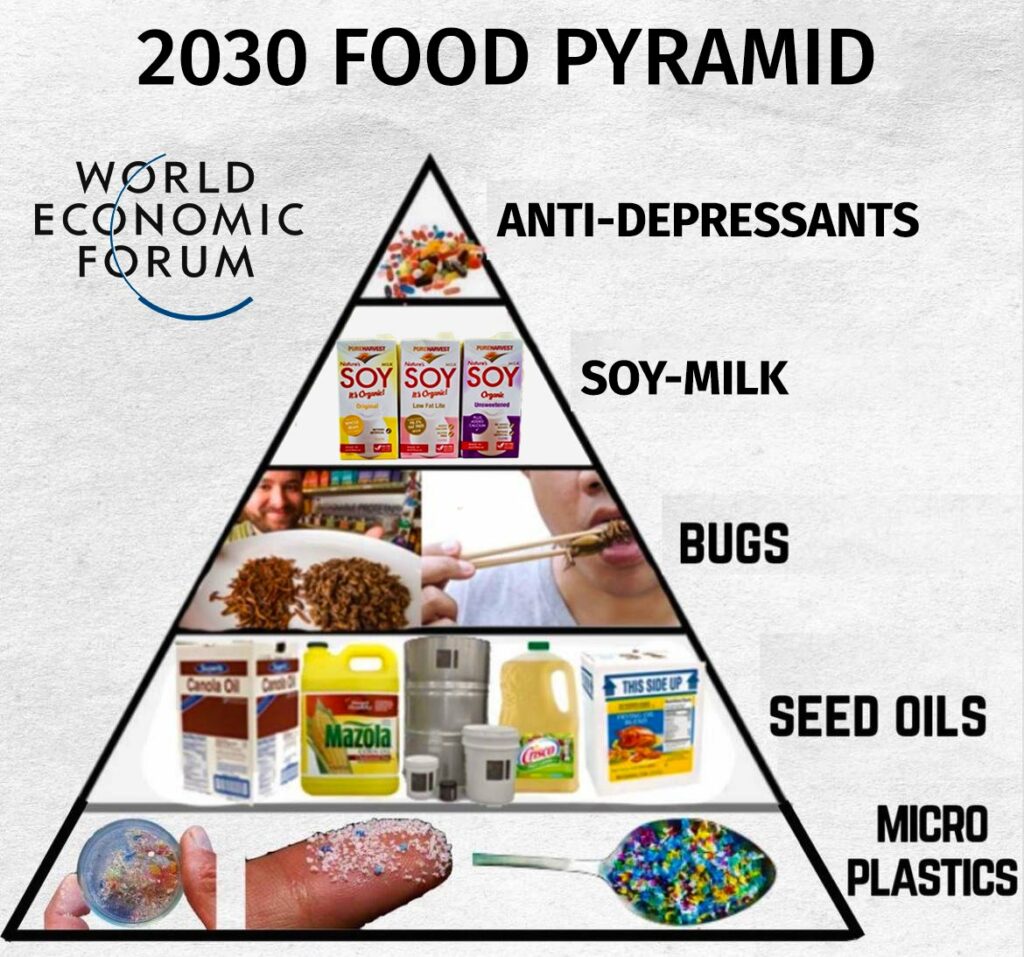 Food pyramid 2030 WEF meme