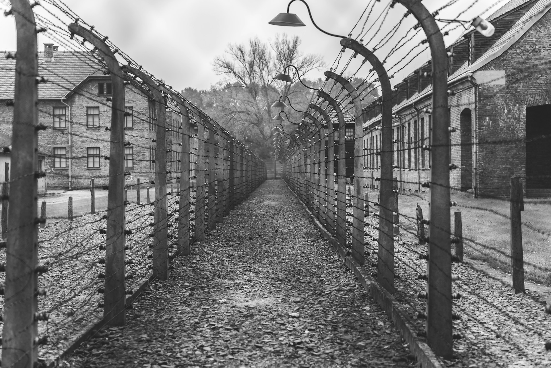 World War 2 header